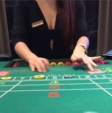 mcw casino 67